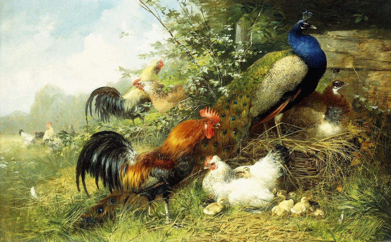 Polli e pavoni, 1899 da Arthur Fitzwilliam Tait