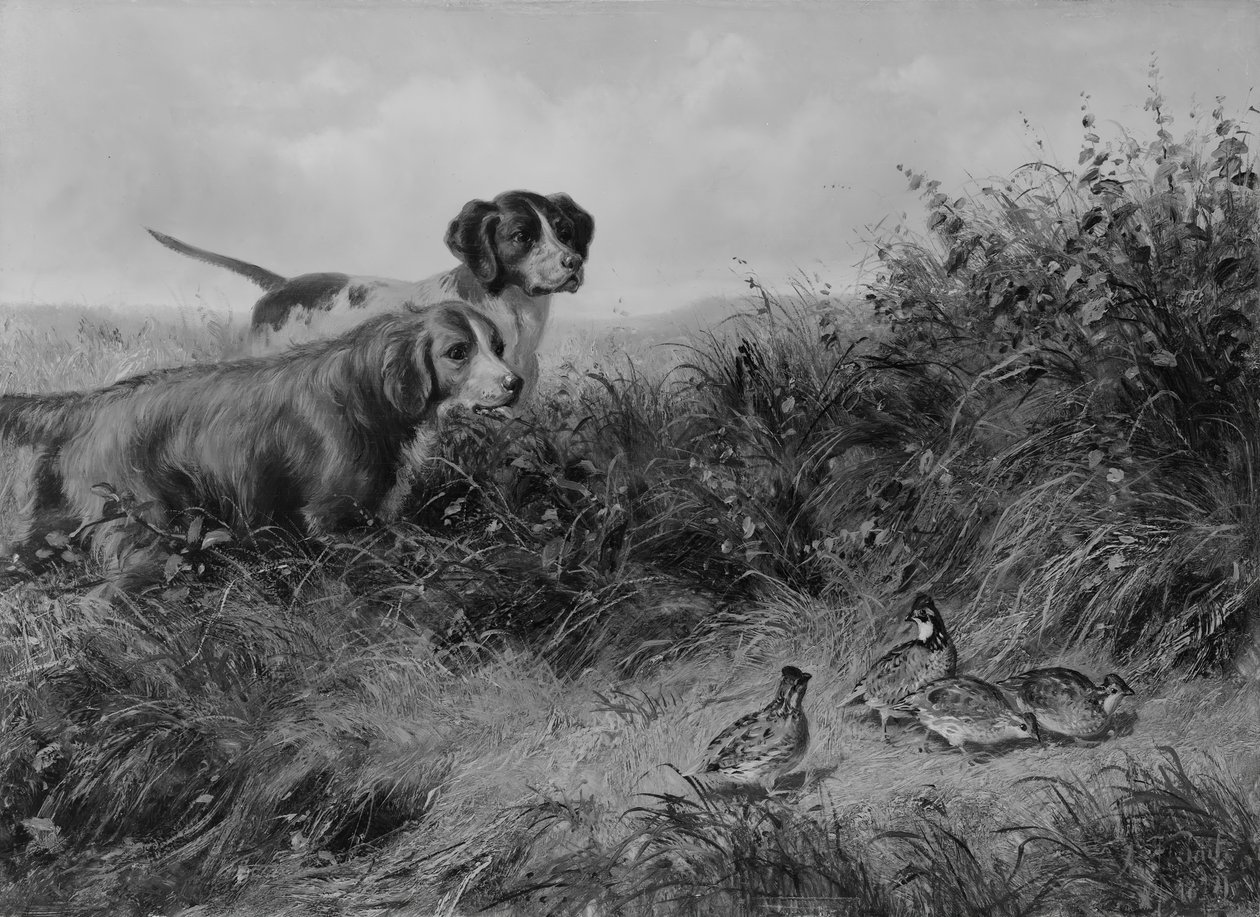 Sulle punte, 1874 da Arthur Fitzwilliam Tait