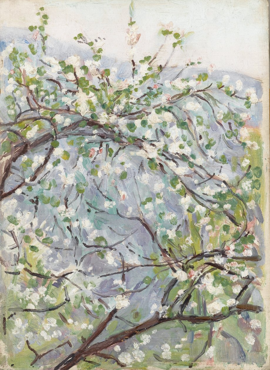 Fioritura da Arthur Haythorne Studd
