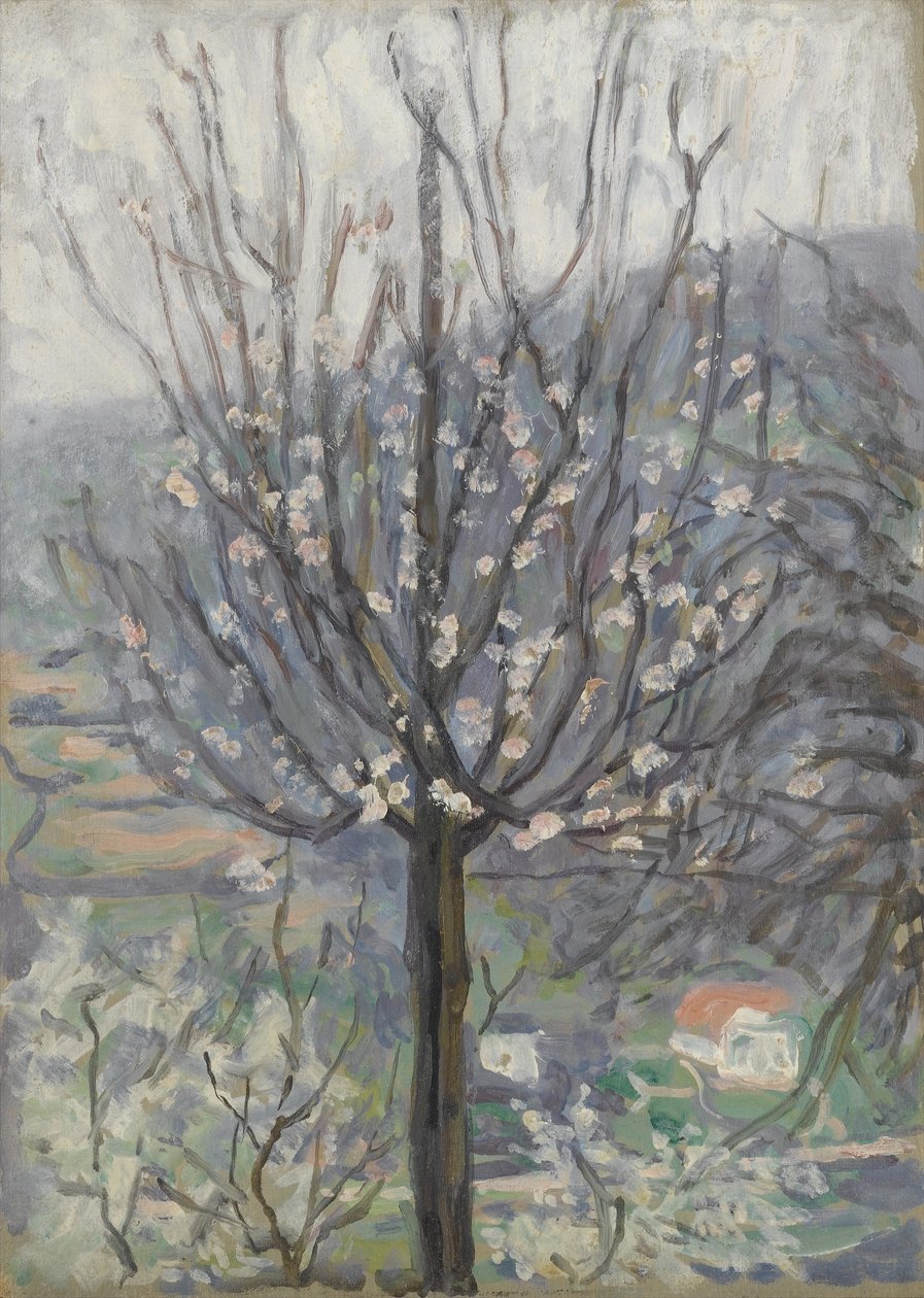 Fioritura, mattina presto da Arthur Haythorne Studd