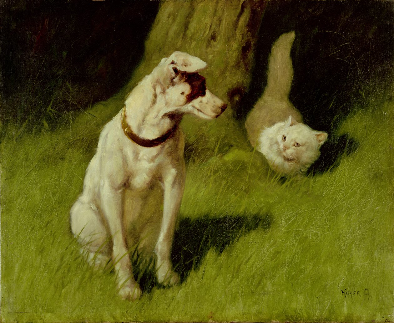 Gatto persiano bianco e Jack Russell da Arthur Heyer