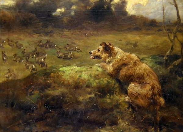 Cacciatore di conigli da Arthur John Strutt