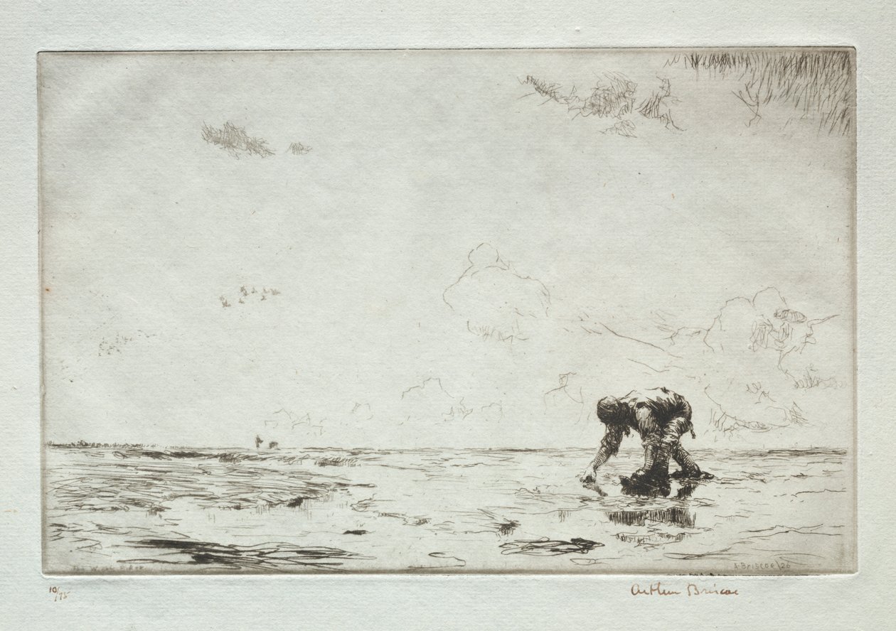 Il raccoglitore di lumache da Arthur John Trevor Briscoe