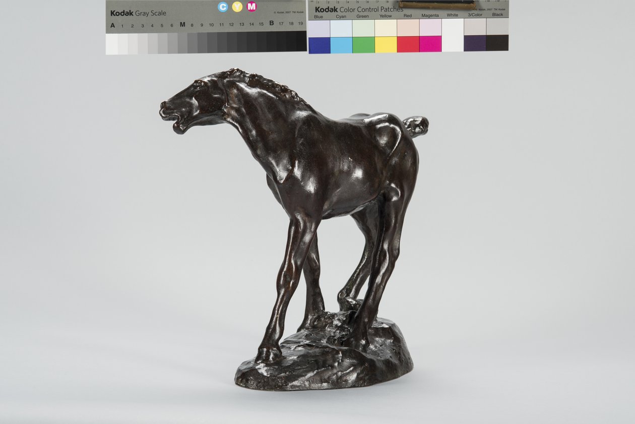 Puledro (bronzo) da Arthur Putnam