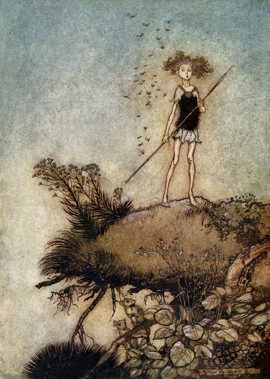Sogno di una notte di mezza estate da Arthur Rackham