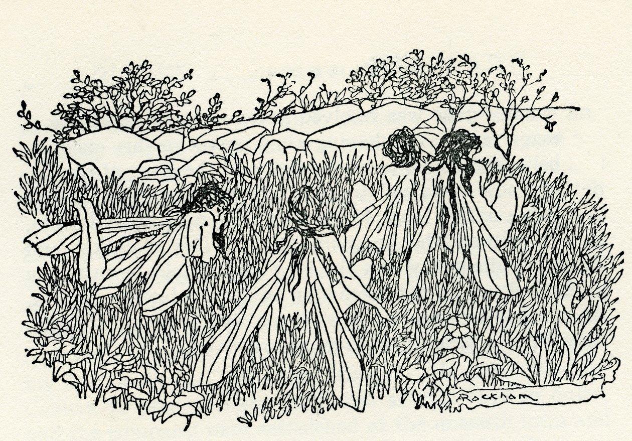 Sogno di una notte di mezza estate da Arthur Rackham