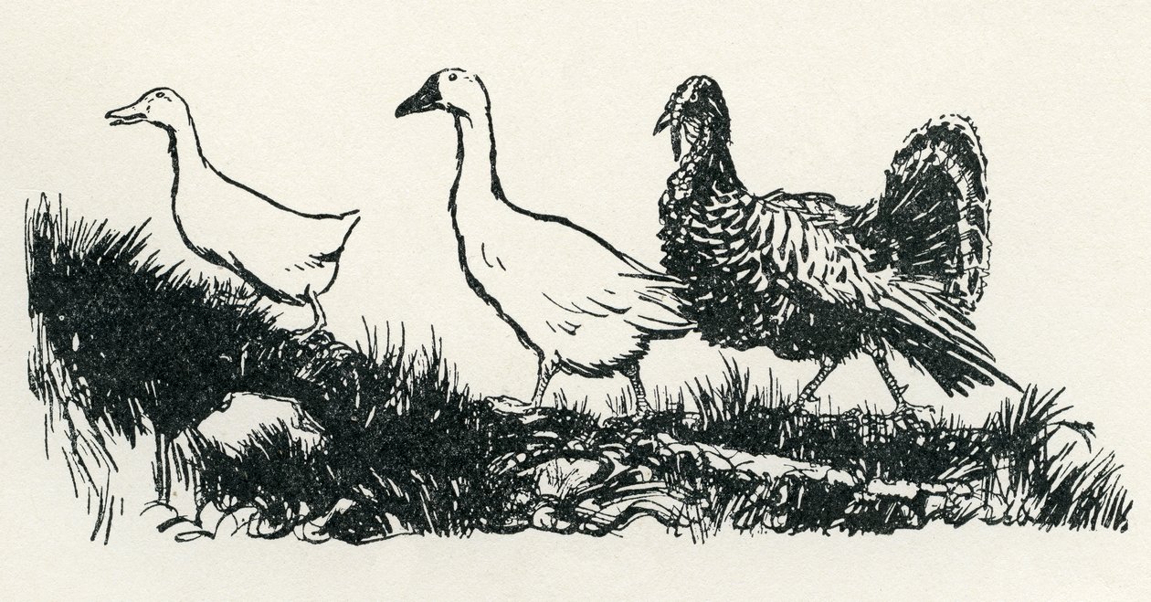 Gallinella da Arthur Rackham
