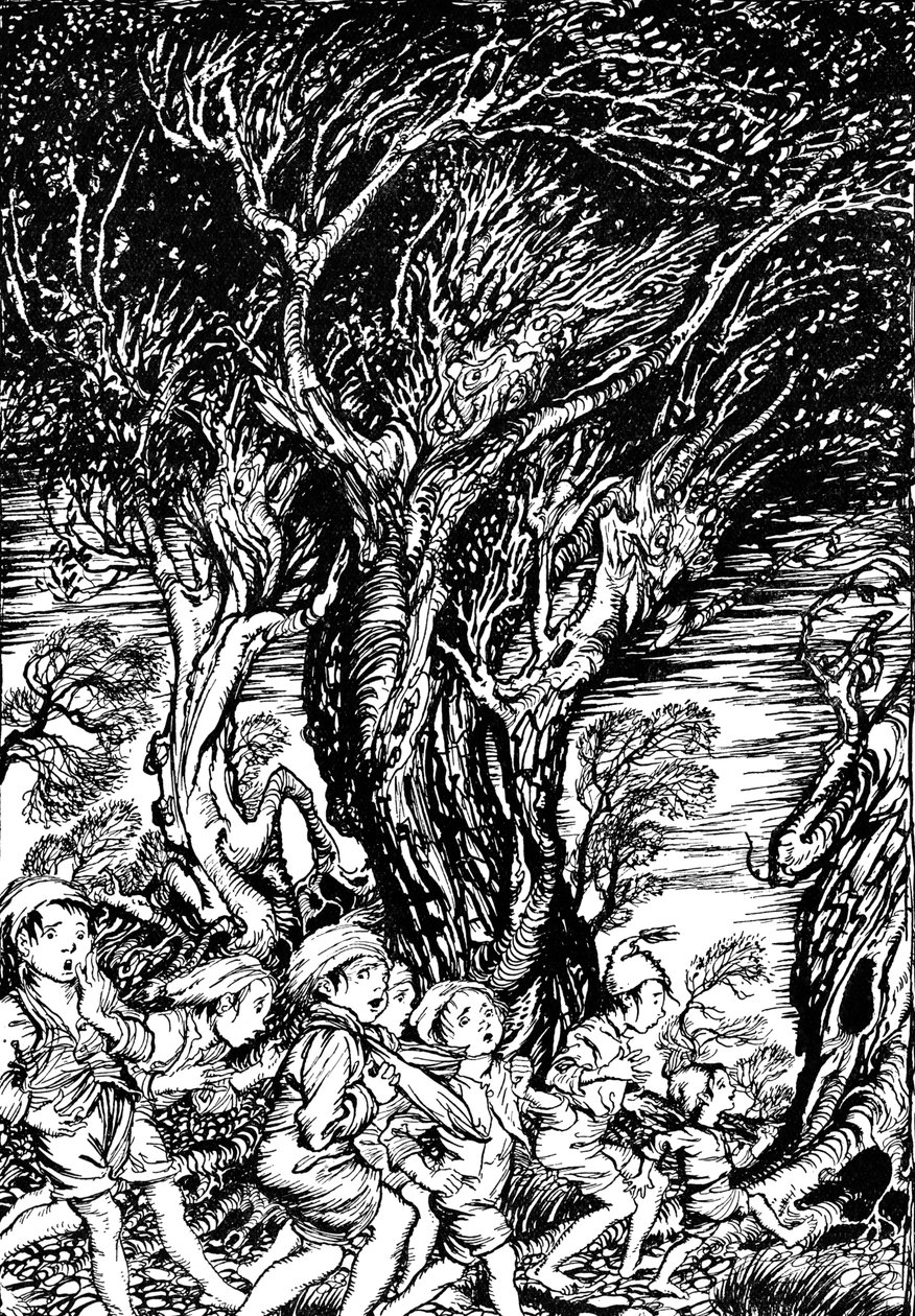 Il libro delle fiabe di Arthur Rackham da Arthur Rackham