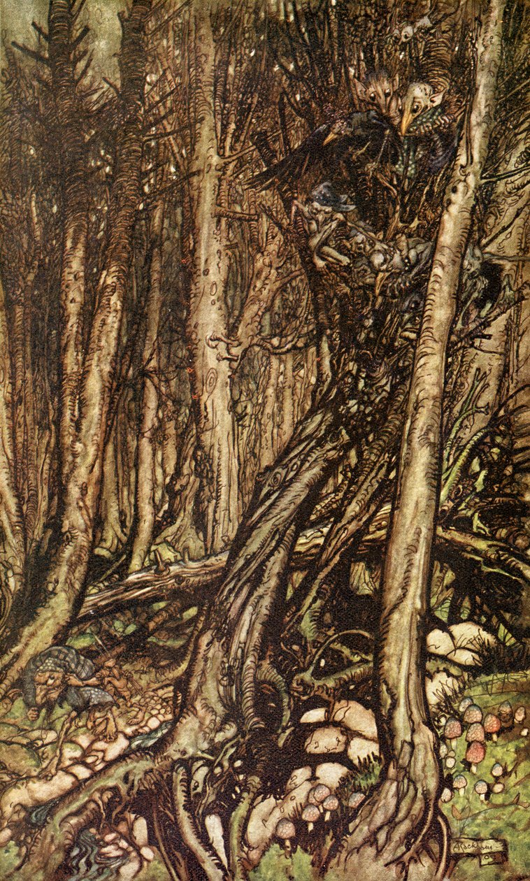Undine di Friedrich de la Motte Fouqué da Arthur Rackham