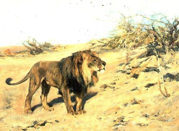 Un leone tra i cespugli da Arthur Wardle