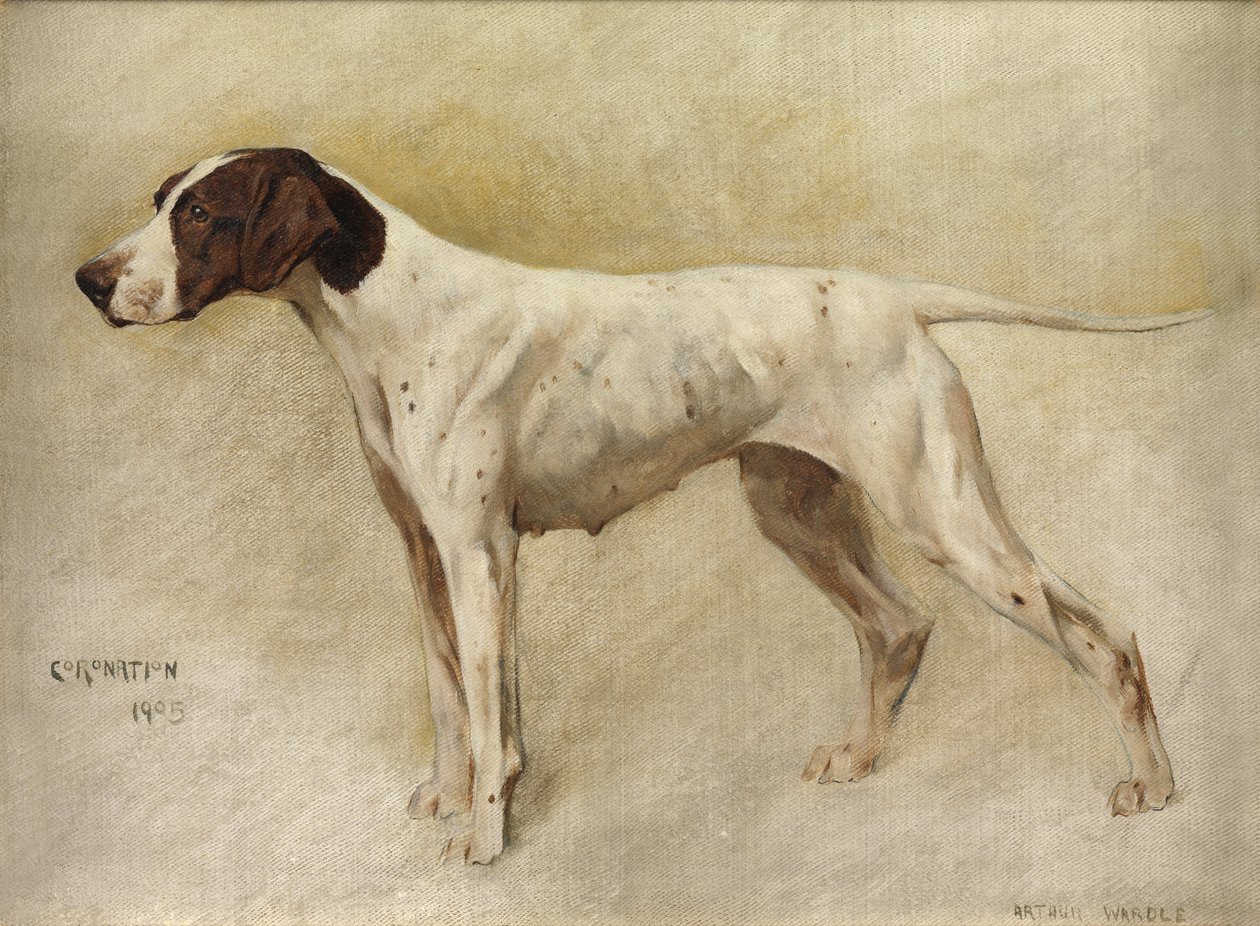 Incoronazione da Arthur Wardle