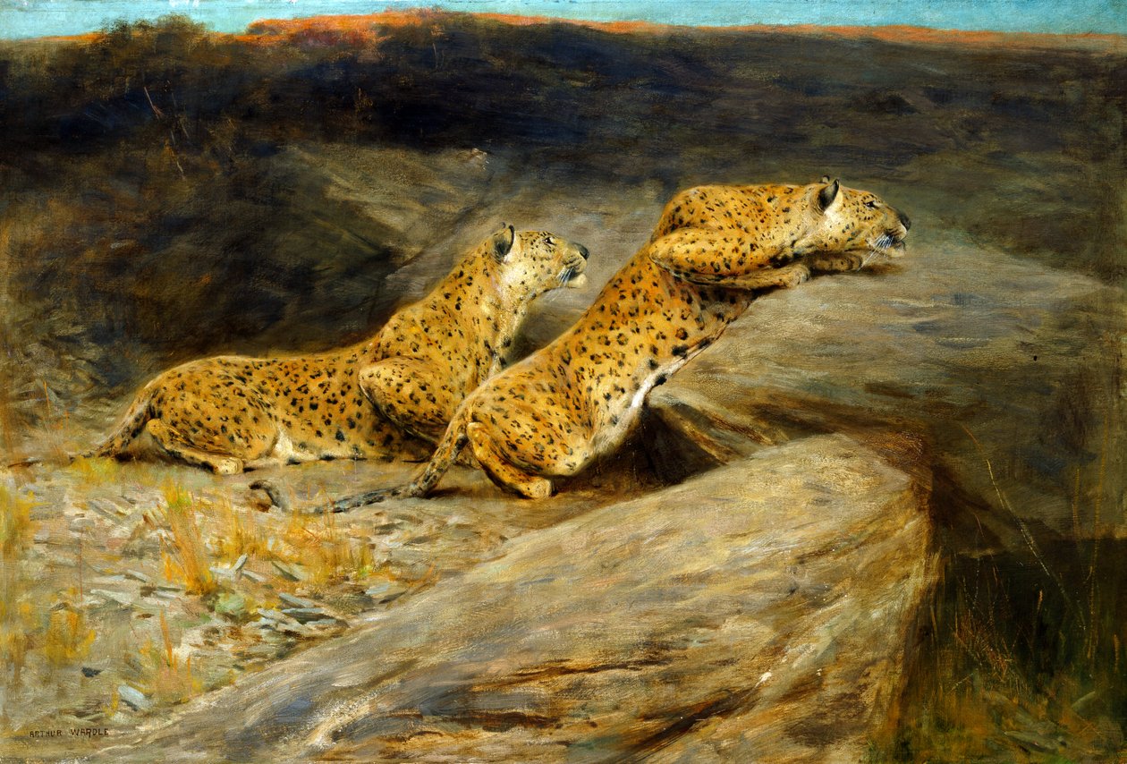 Cacciatori di cervi da Arthur Wardle