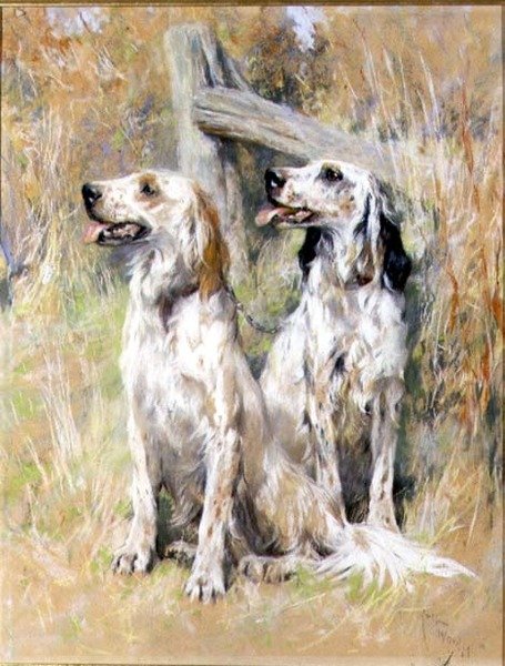 Setter Inglesi vicino a uno Stile da Arthur Wardle