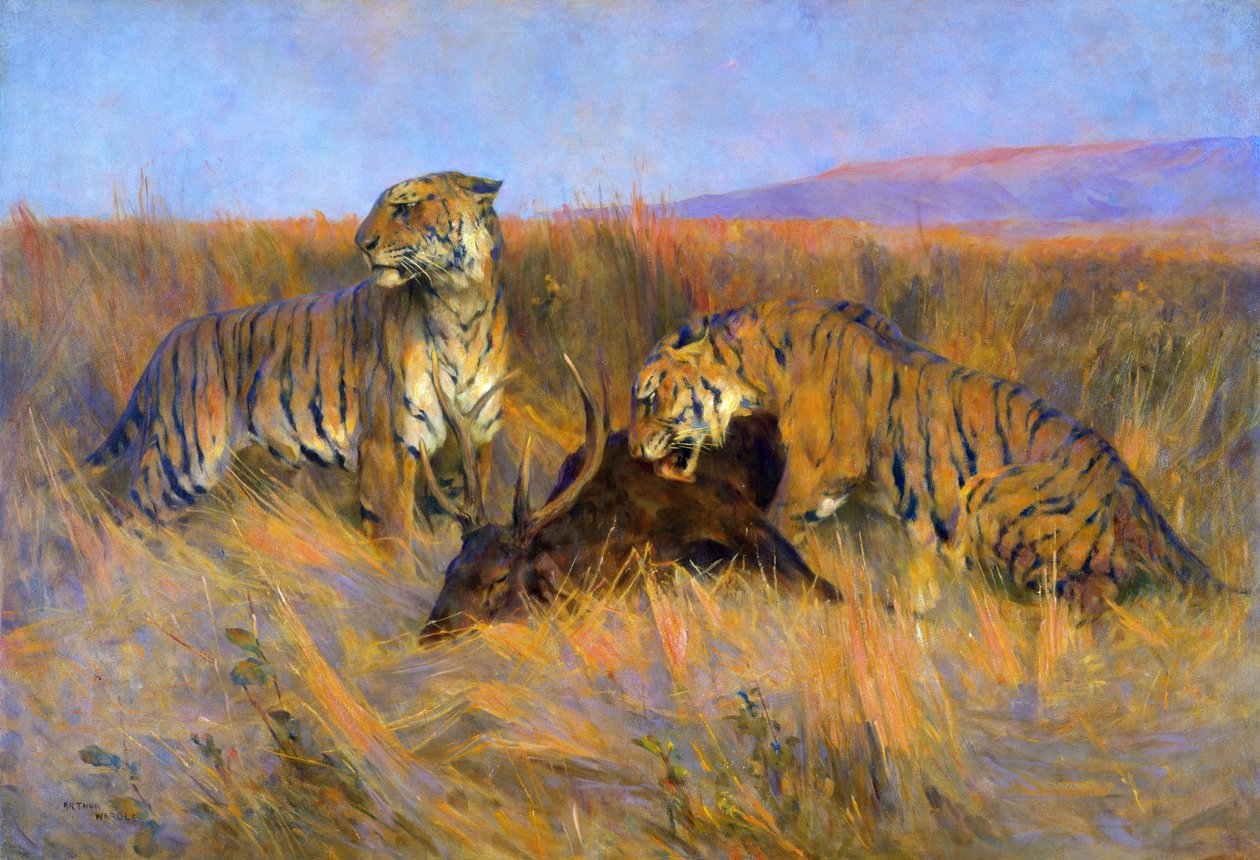 Tigri alla caccia da Arthur Wardle