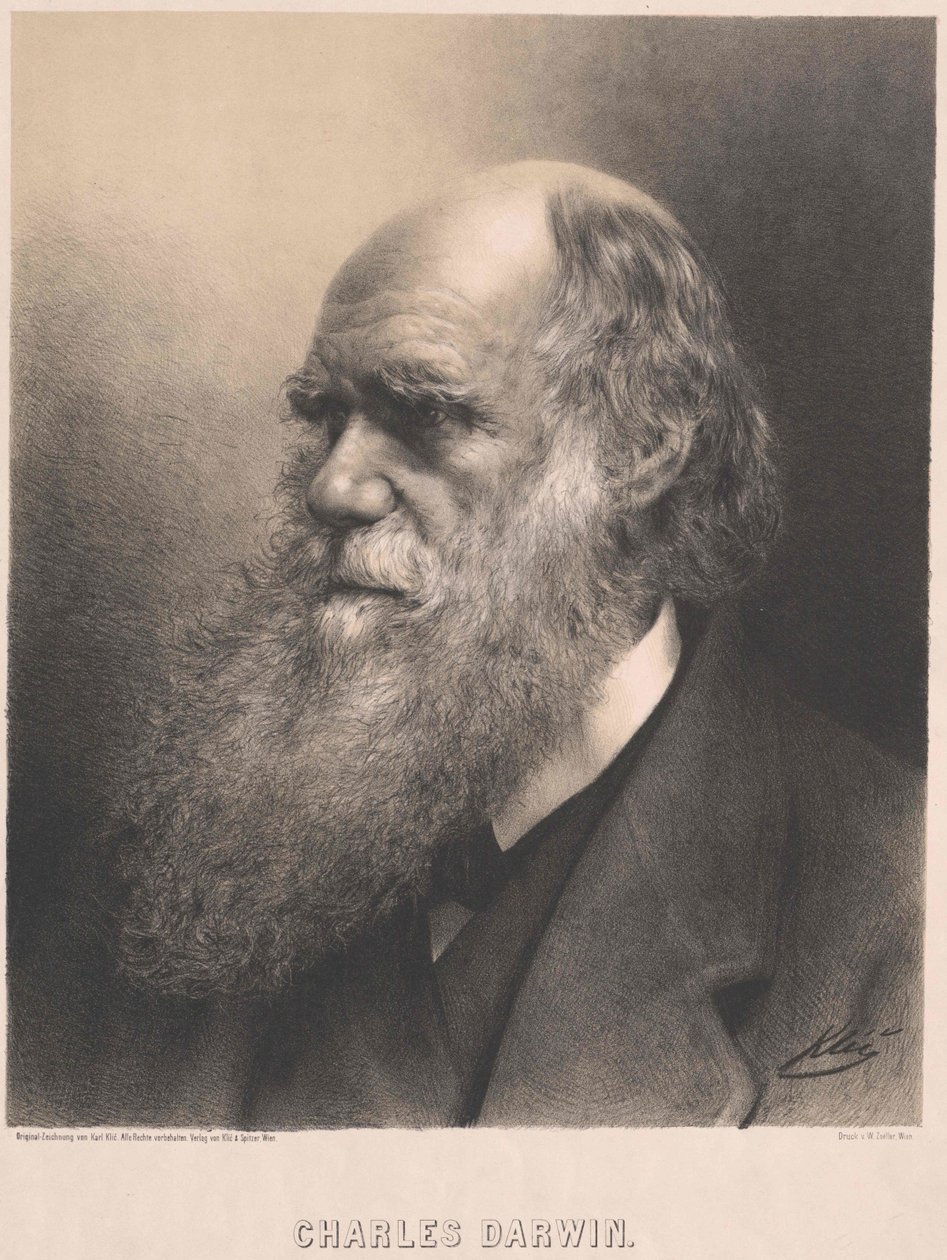 Charles Darwin da Artist Unknown