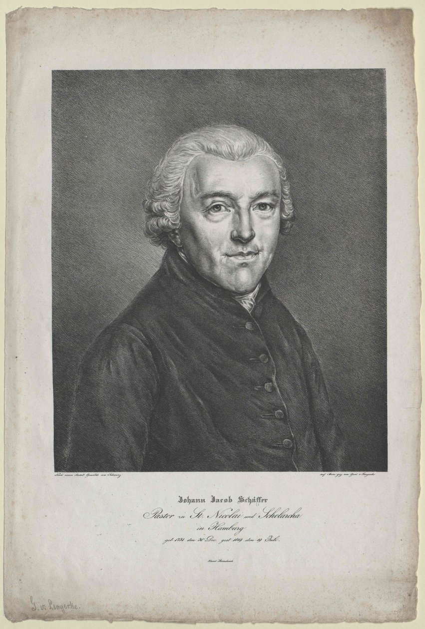Johann Jakob Schaeffer da Artist Unknown
