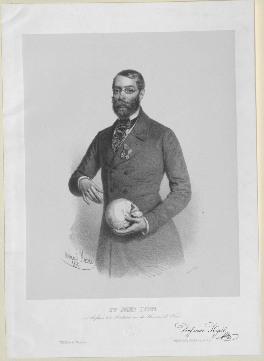 Joseph Hyrtl da Artist Unknown