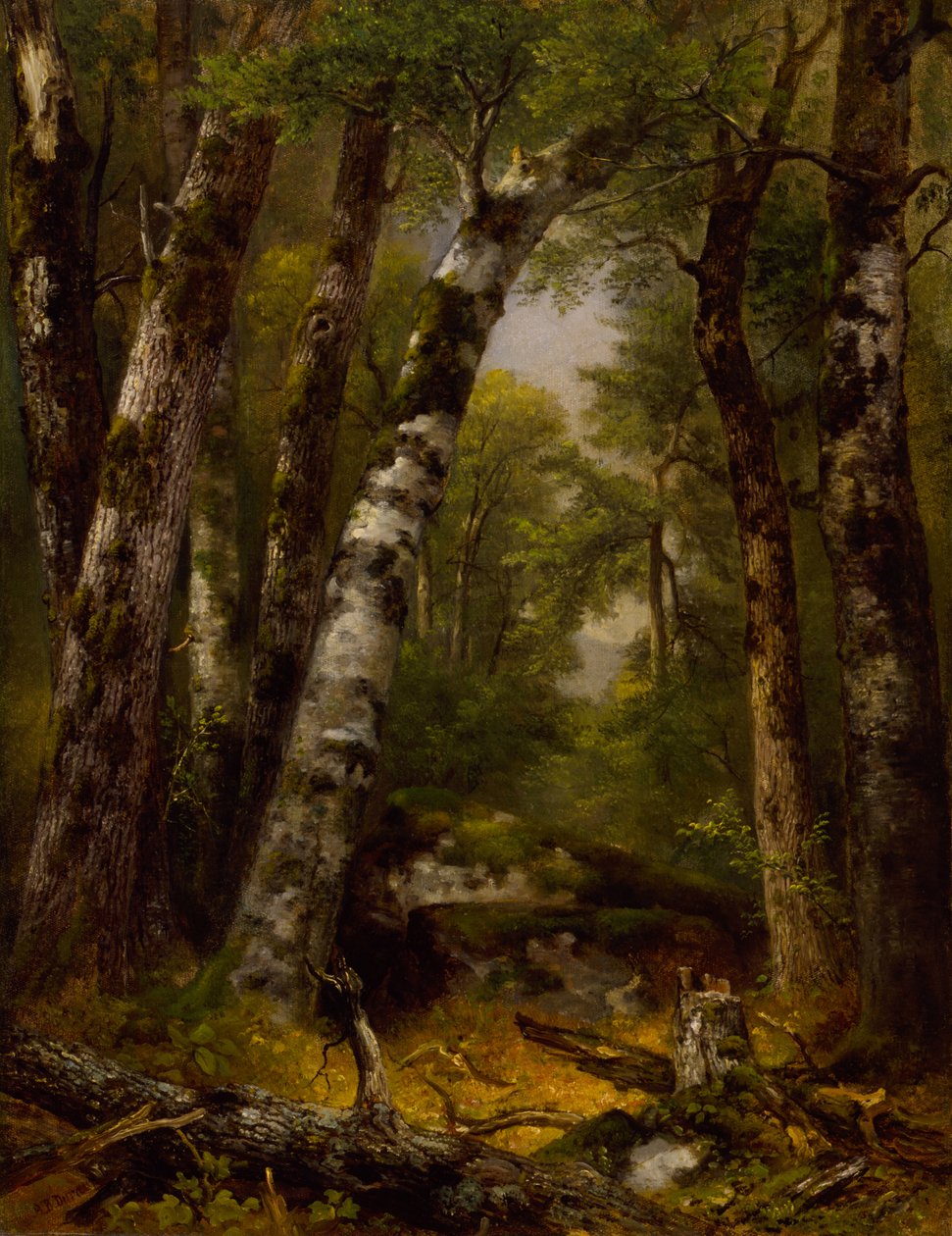 Woodland Glen da Asher B. Durand