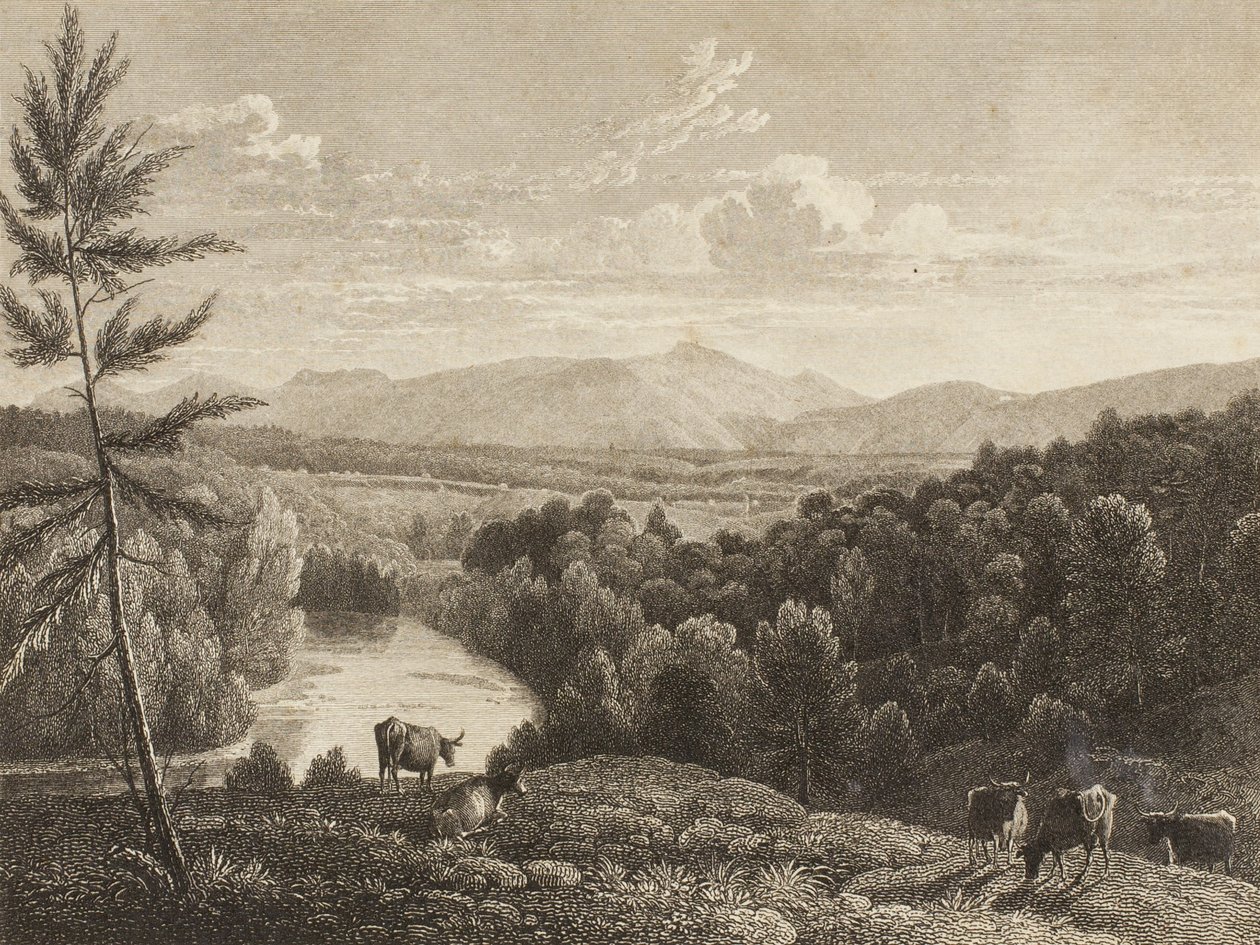 Monti Catskill da Asher Brown Durand