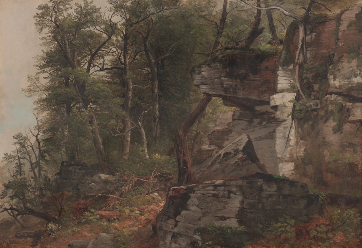Alberi su una collina rocciosa, c.1849 da Asher Brown Durand