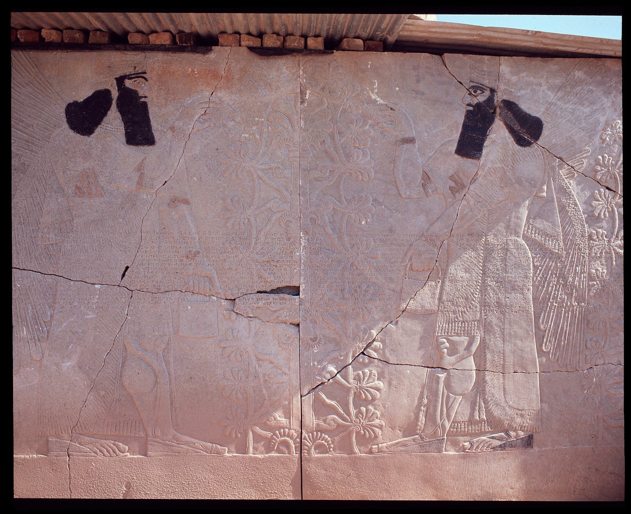 Vista di un rilievo, 9°-7° secolo a.C. da Assyrian