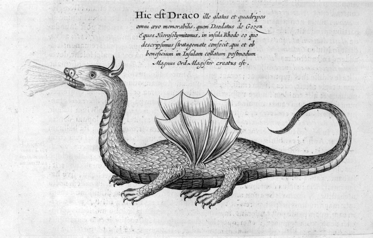 Drago, 1678 da Athanasius Kircher