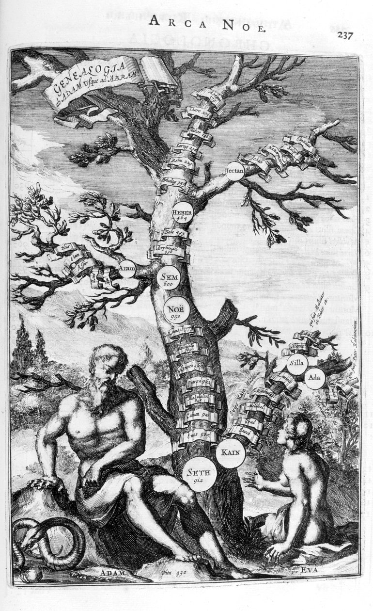 Albero genealogico di Adamo, 1675 da Athanasius Kircher