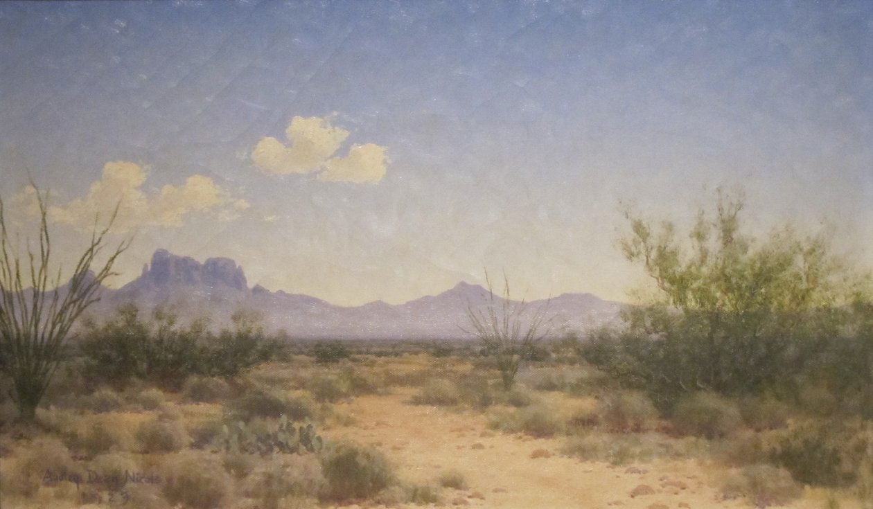 Paesaggio di Sunland da Audley Dean Nicols