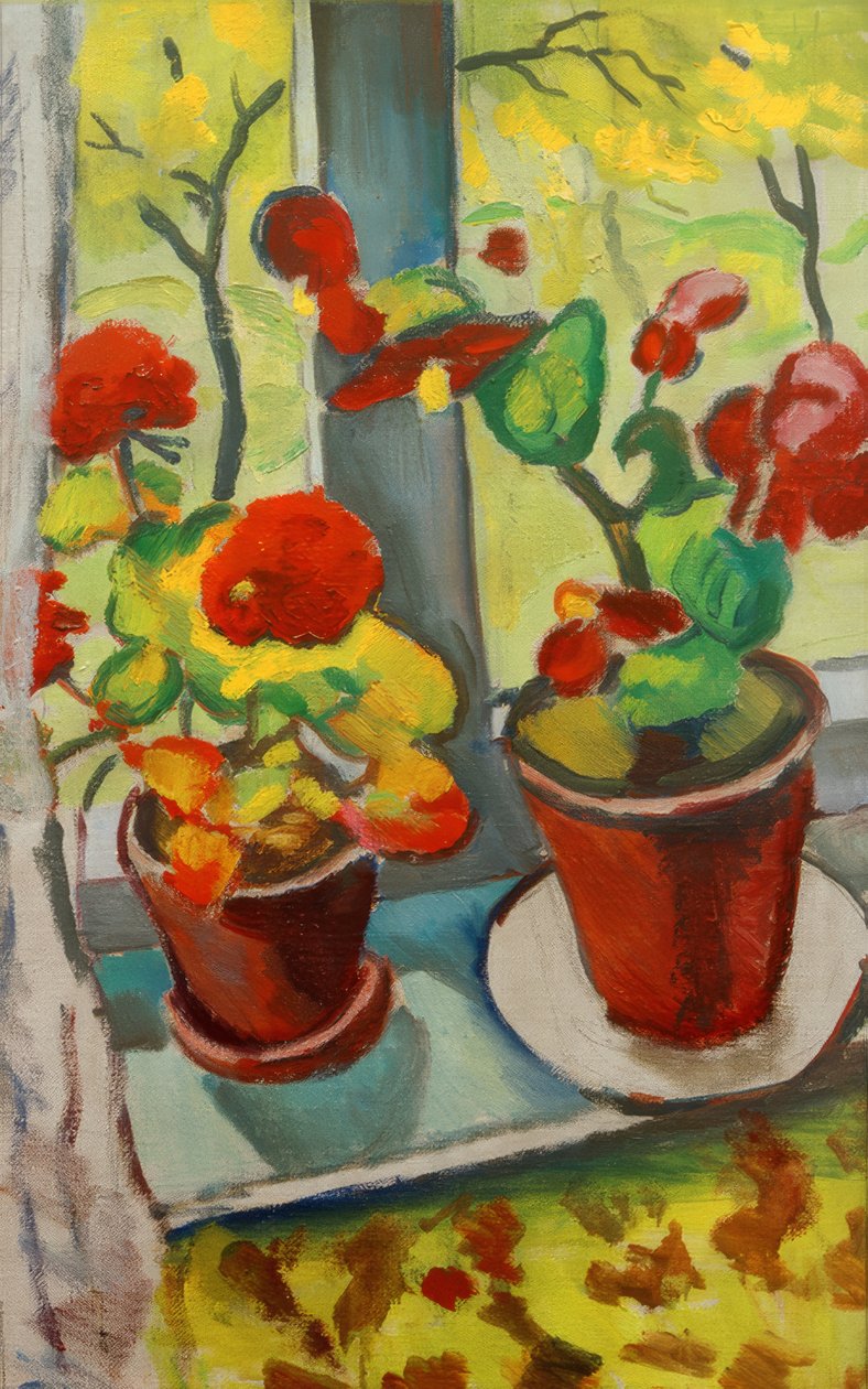 Fiori alla finestra (Begonie in vasi I) da August Macke