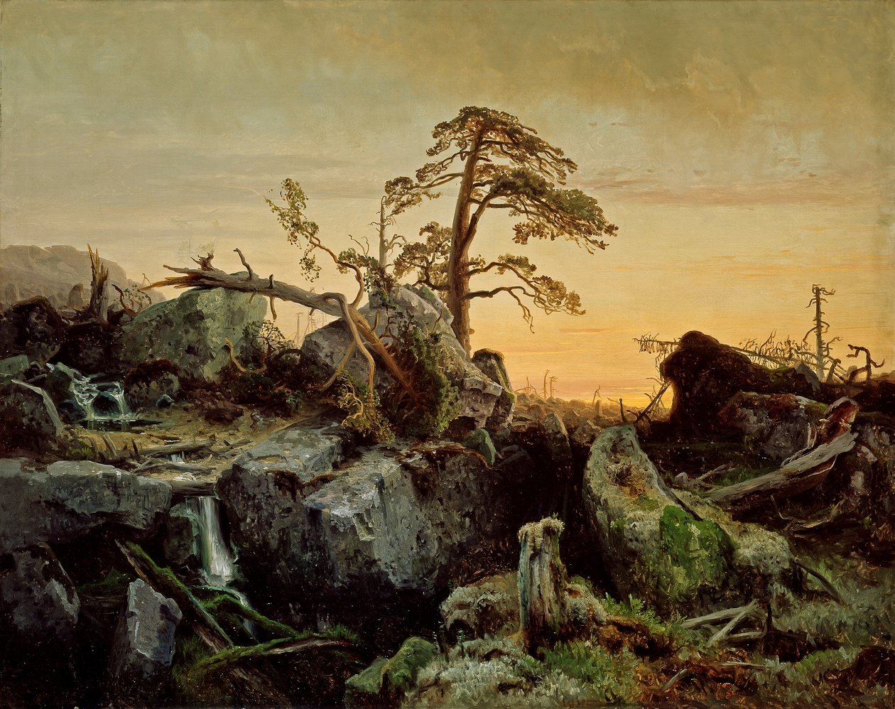 Foresta morente da August Cappelen