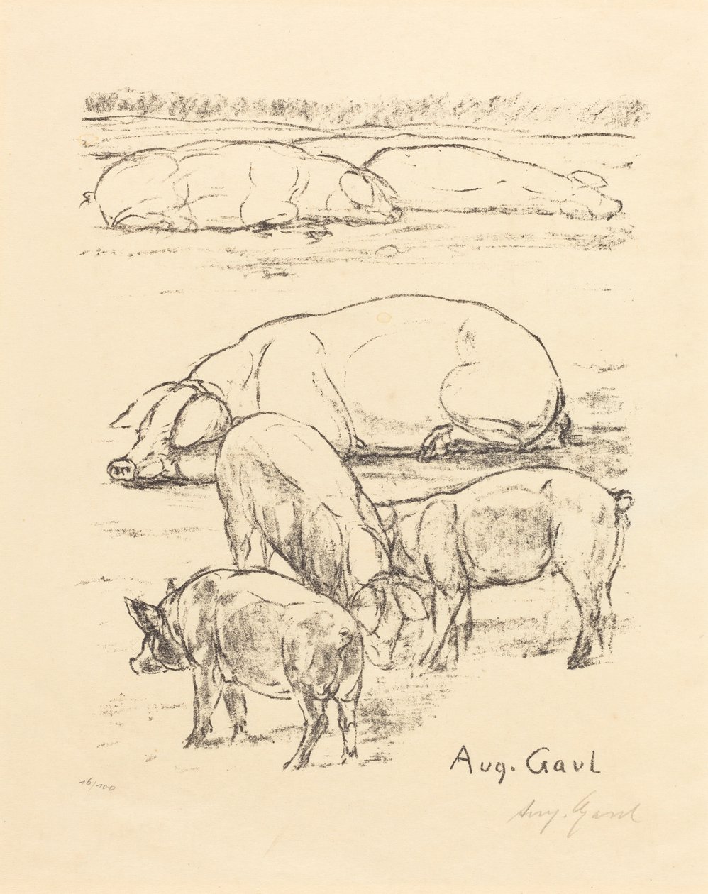 Maiali da August Gaul