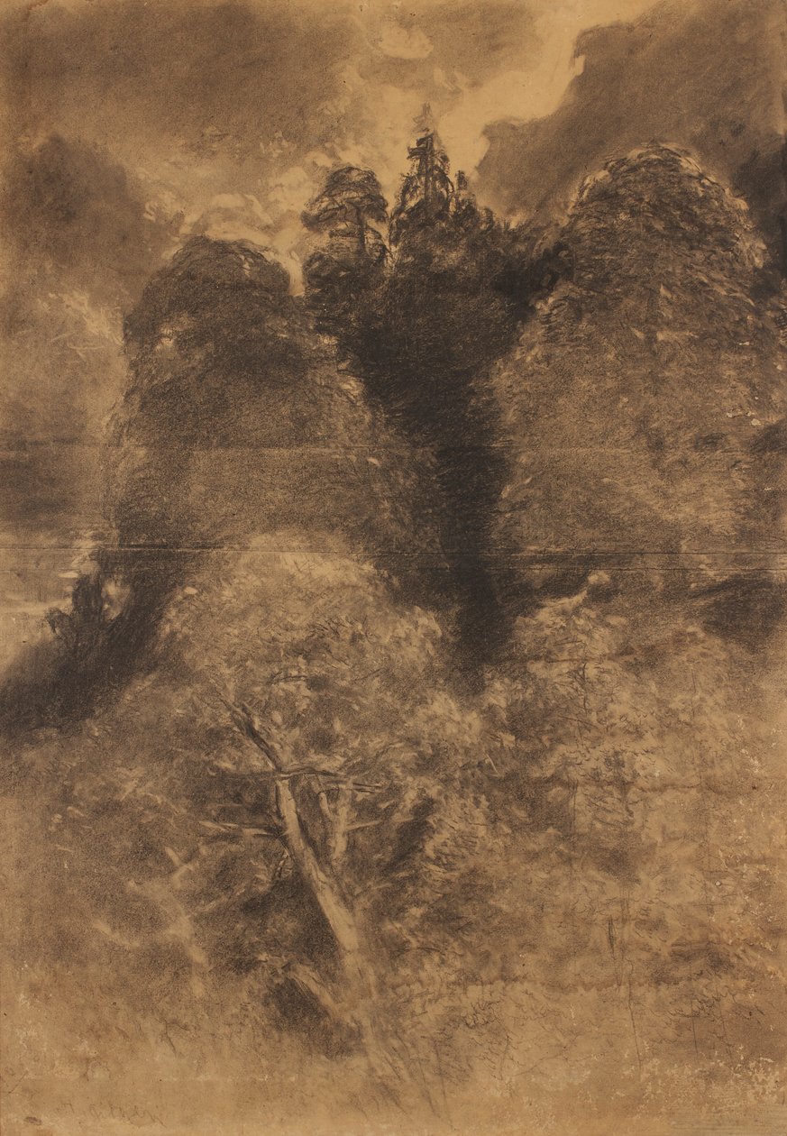 Studio di alberi da August Schaeffer von Wienwald
