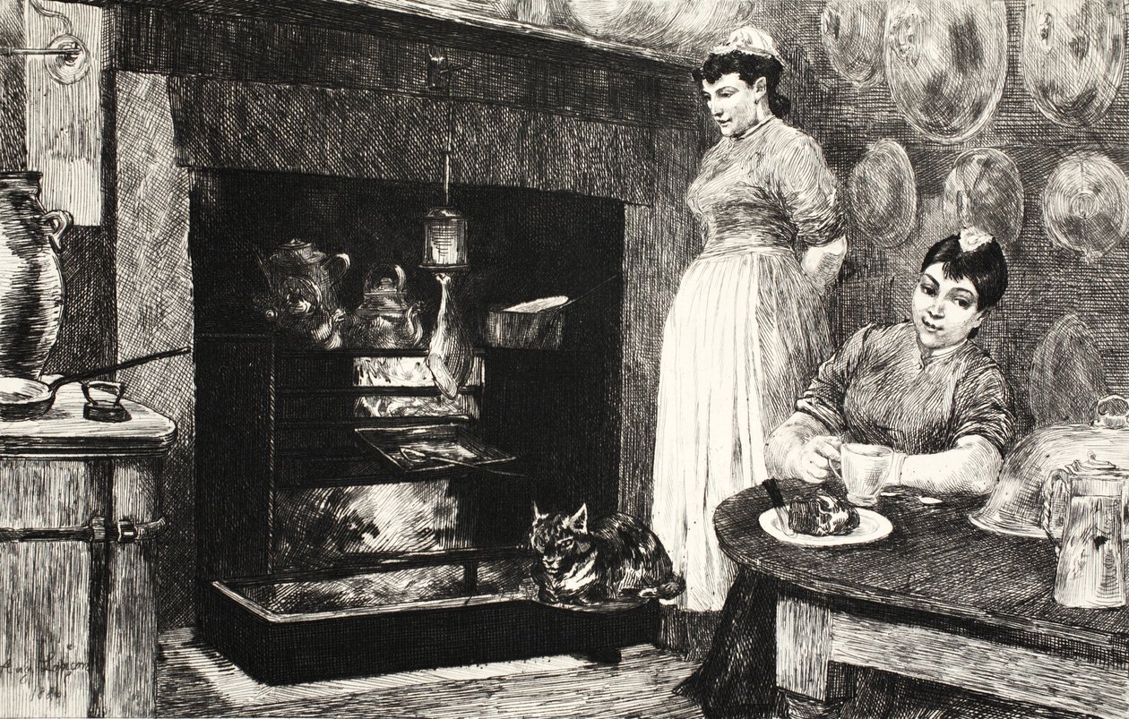 Illustrazione da 