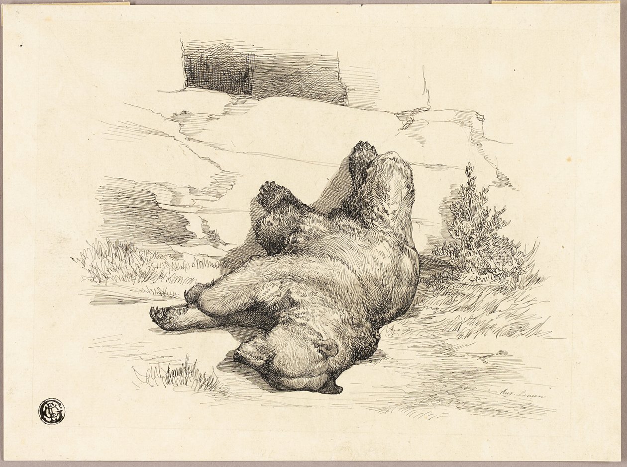 Orso russo da Auguste Andre Lancon
