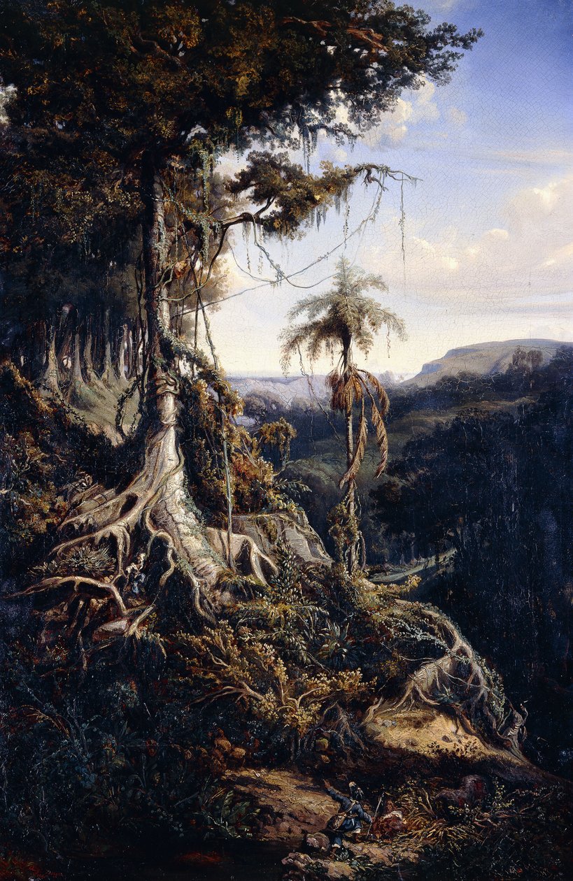 Foresta di Jala-Jala da Auguste Borget