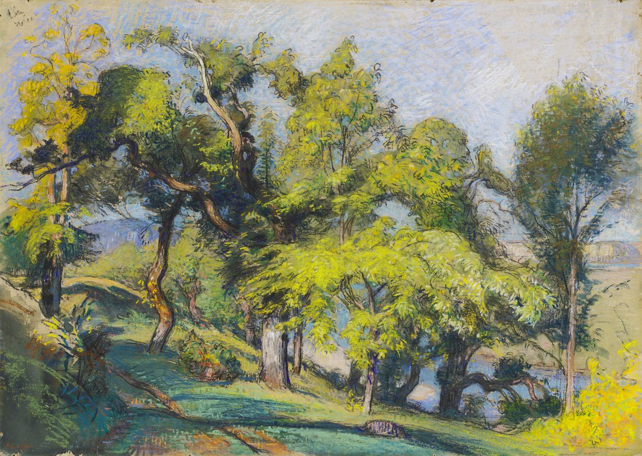 Alberi di Castagno sopra un Fiume da Auguste Lepere