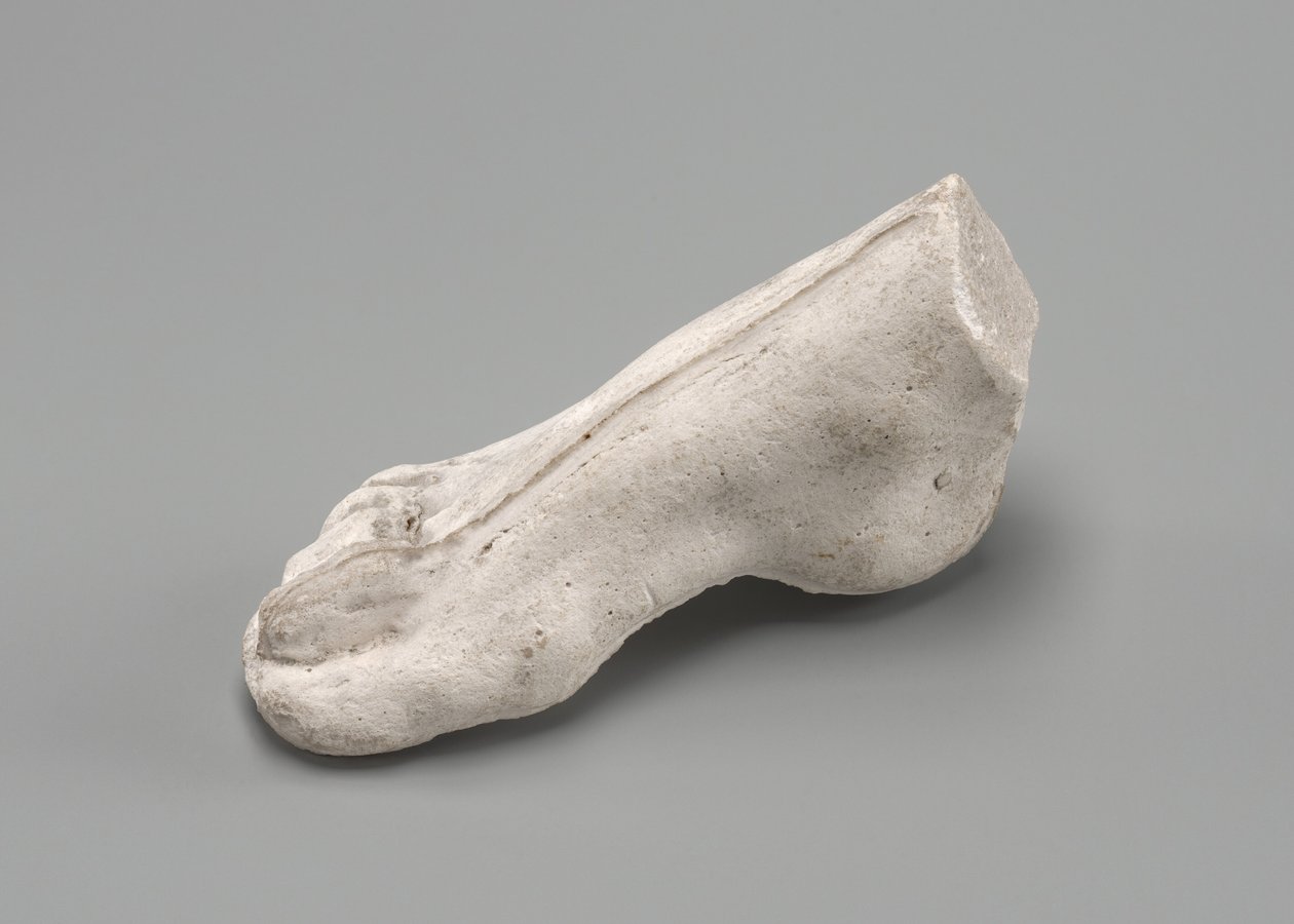 Piede destro da Auguste Rodin