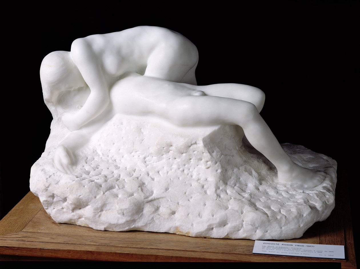 La morte di Adone, dopo il 1888 da Auguste Rodin