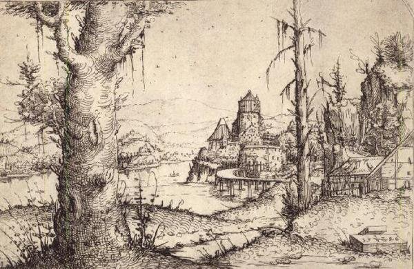 Paesaggio fluviale con un albero robusto da Augustin Hirschvogel