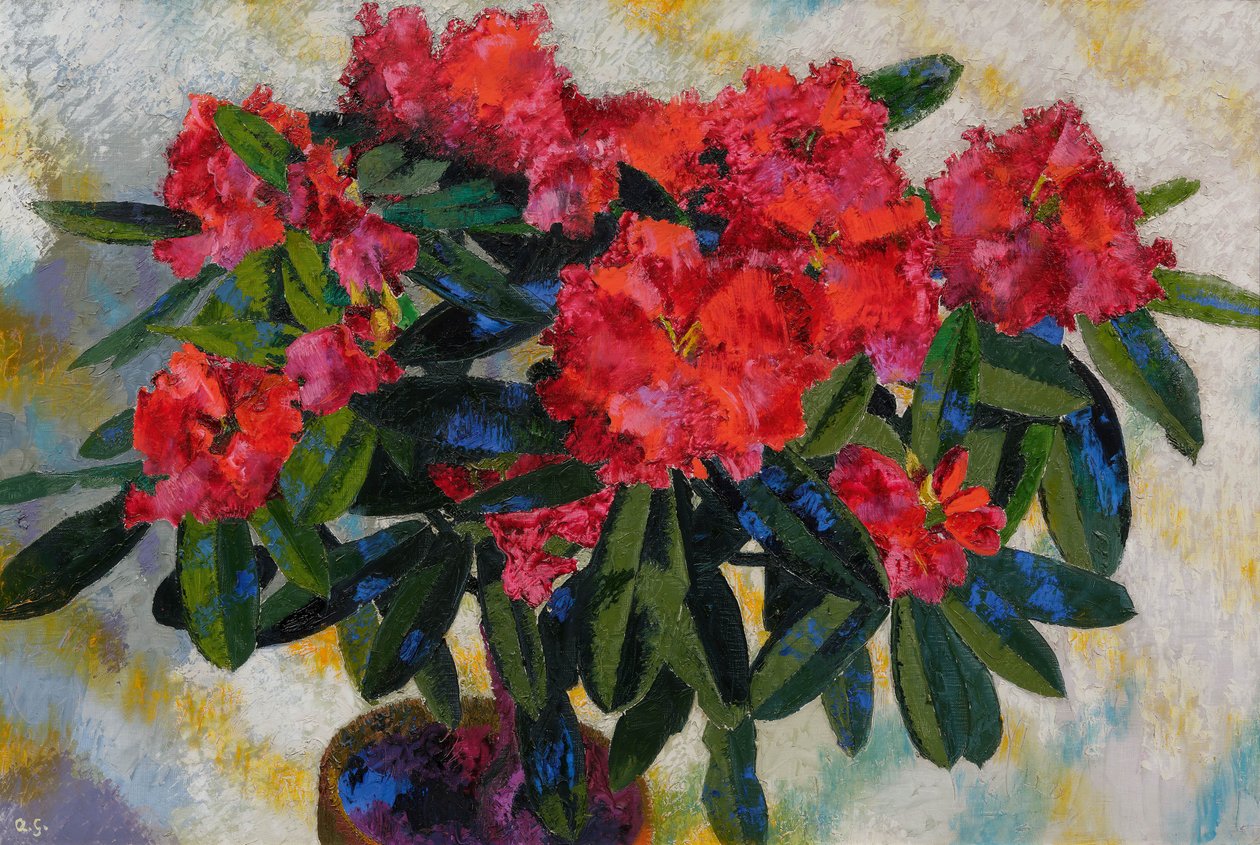 Augusto Giacometti Rododendro 1938 da Augusto Giacometti
