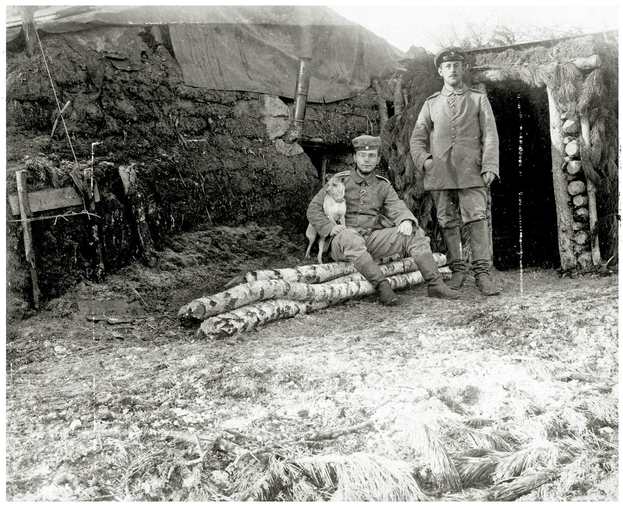 Soldati austriaci con un cane, 1914-18 da Austrian Photographer