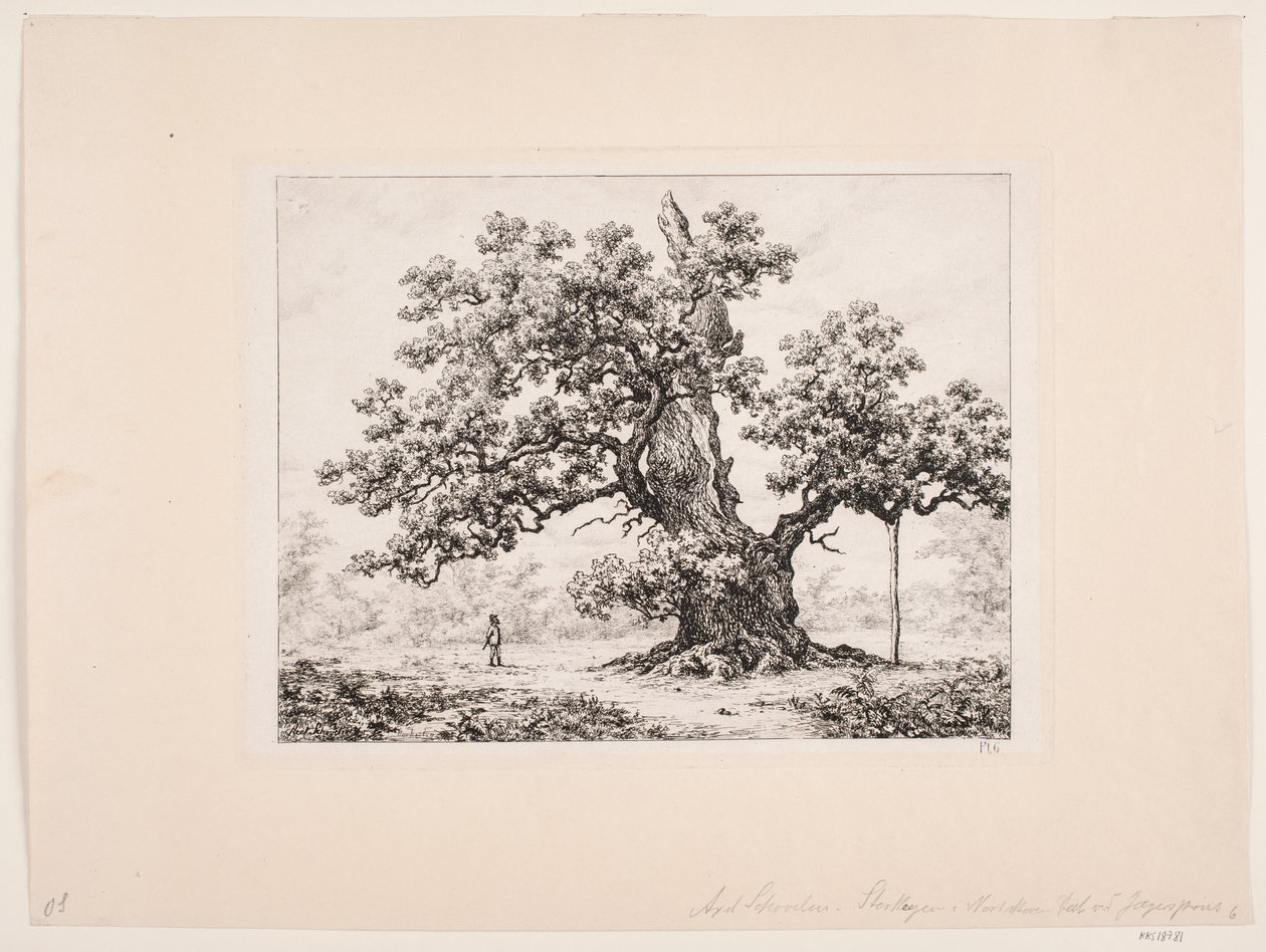 Quercia delle cicogne. Jægerspris da Axel Schovelin