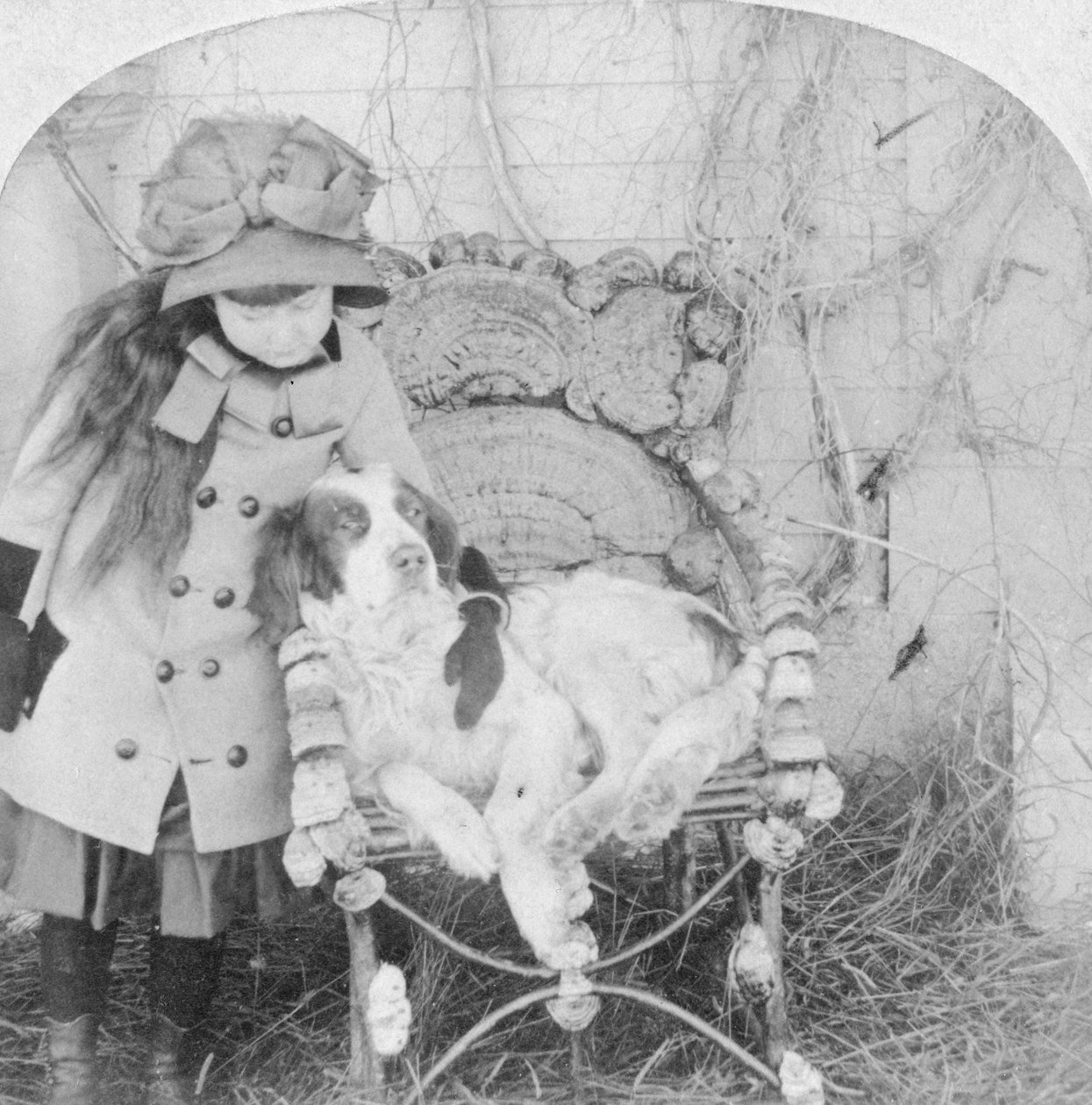 Non puoi parlare, Jack, 1882 da B. W. Kilburn
