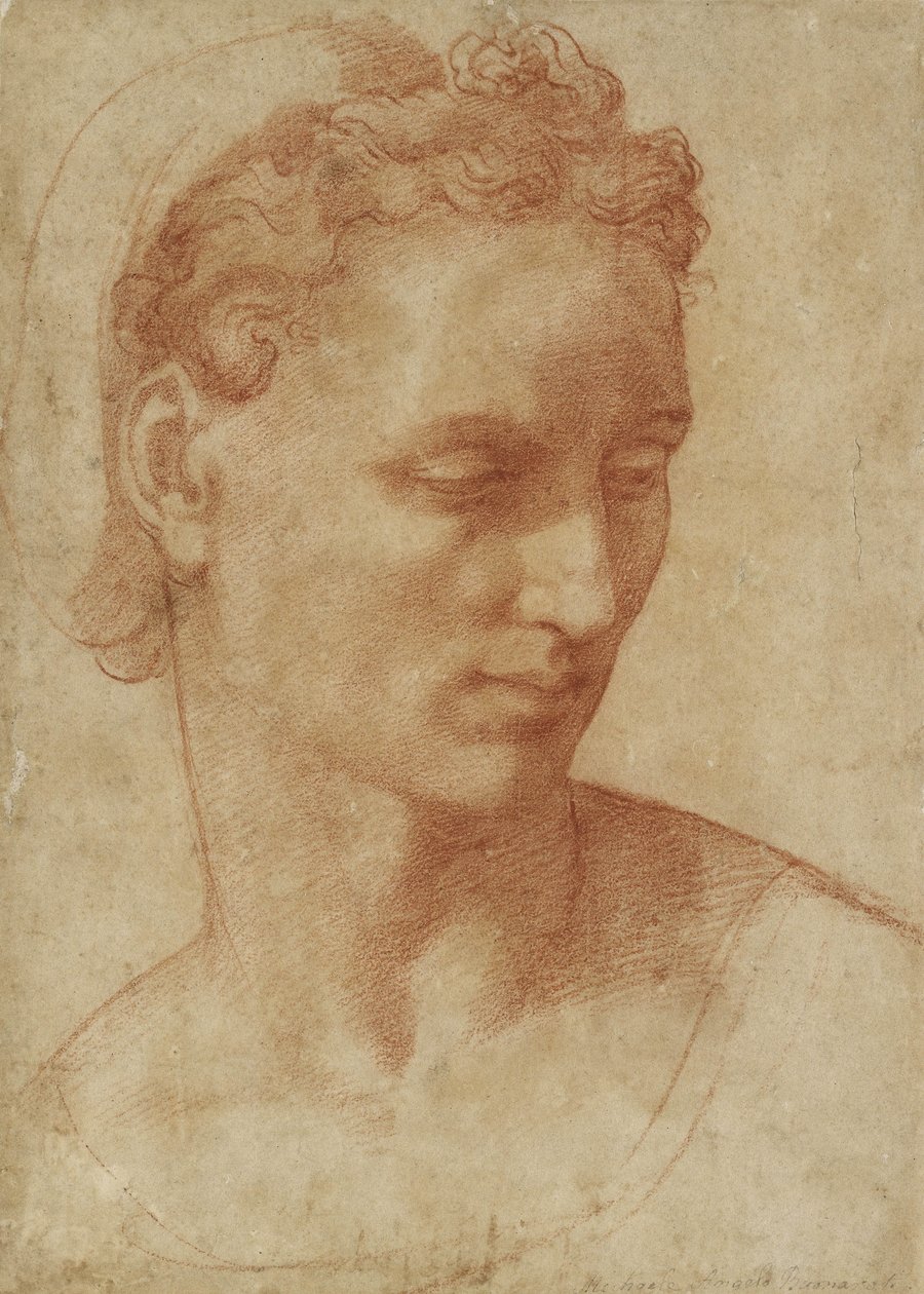 Testa di una donna da Baccio Bandinelli