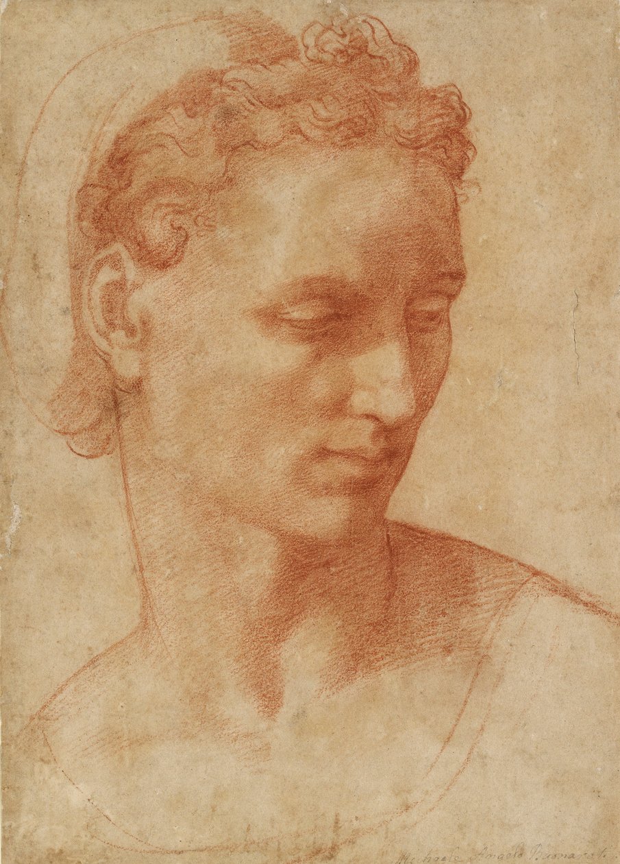 Testa di una donna, inizio XVI secolo da Baccio Bandinelli
