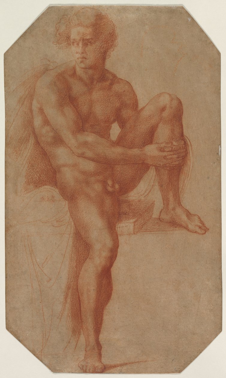 Nudo maschile seduto da Baccio Bandinelli