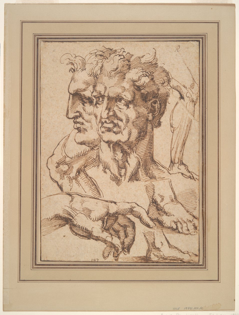 Foglio di studi da Baccio Bandinelli