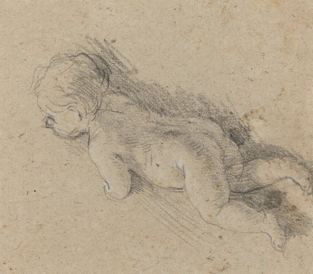 Bambino [verso] da Baldassare Franceschini