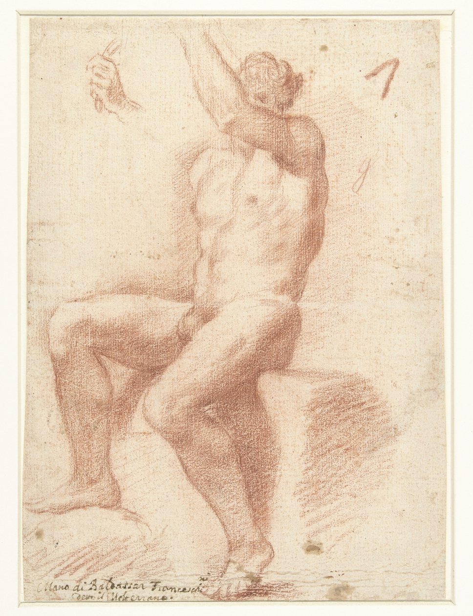 Studio di un modello maschile nudo da Baldassare Franceschini