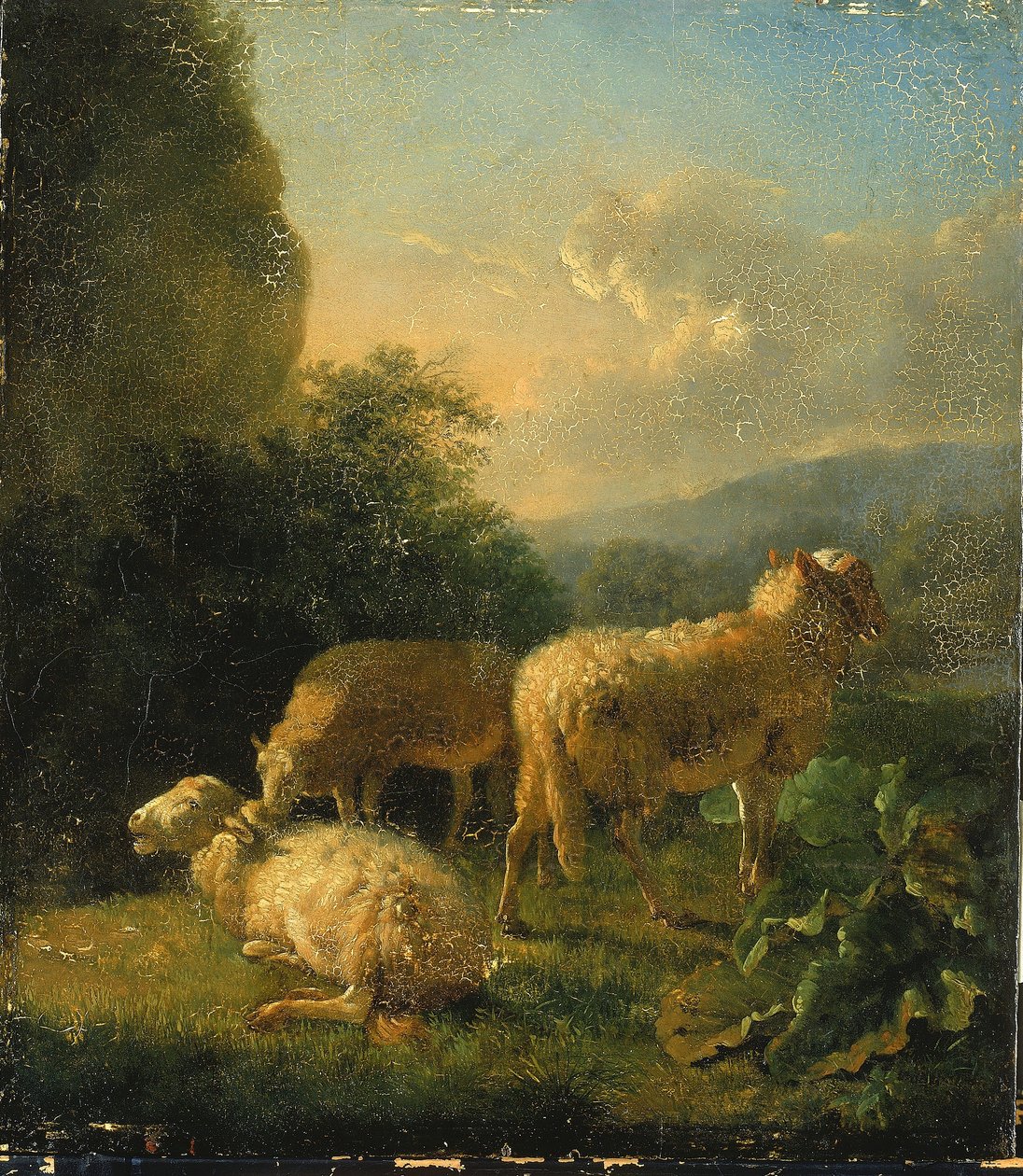 Pecora da Balthasar Paul Ommeganck